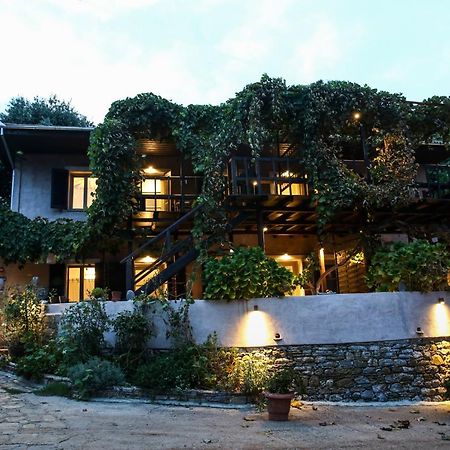 Ghermaniko Guesthouse 다무하리 외부 사진